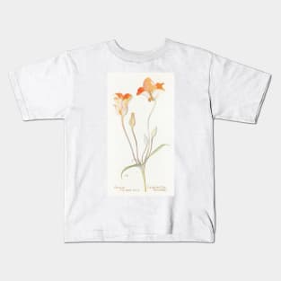 Desert mariposa lily - Botanical Illustration Kids T-Shirt